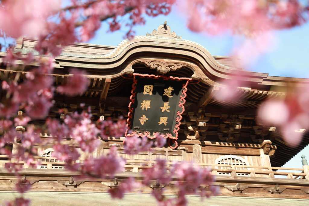 山門と桜が織りなす絶景 鎌倉屈指の桜の名所 建長寺 江ノ島タクシー株式会社 山門と桜が織りなす絶景 鎌倉屈指の桜の名所 建長寺 江ノ島タクシー株式会社