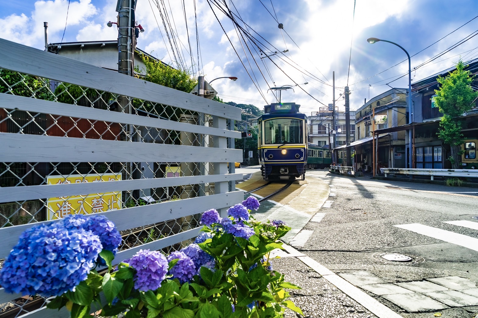 一度は撮ってみたい藤沢のあじさい×フォトスポット！！ | 江ノ島