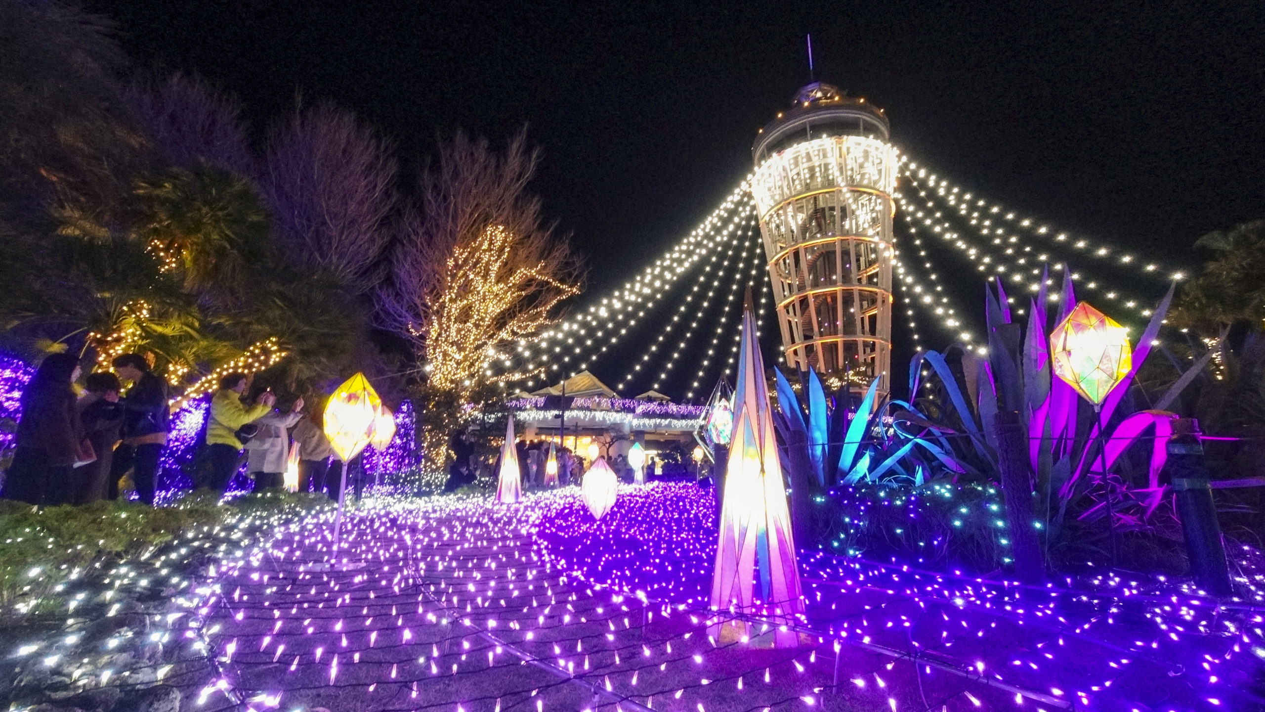 江ノ島の黄昏 Amazon.co.jp: 江ノ島: ミュージック